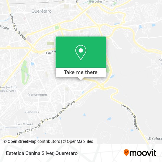 Mapa de Estética Canina Silver