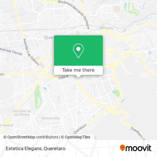 Mapa de Estetica Elegans