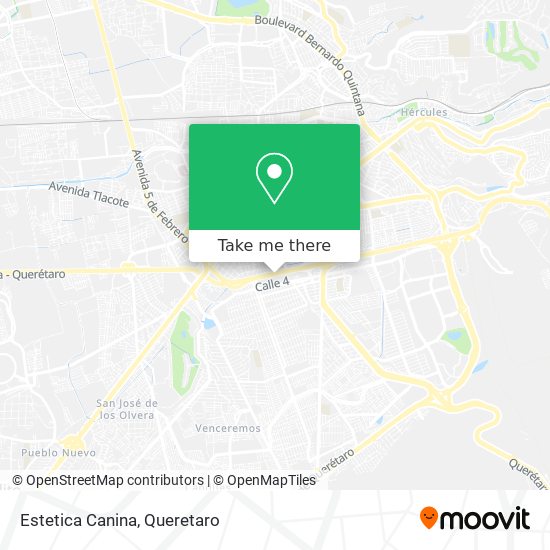 Estetica Canina map