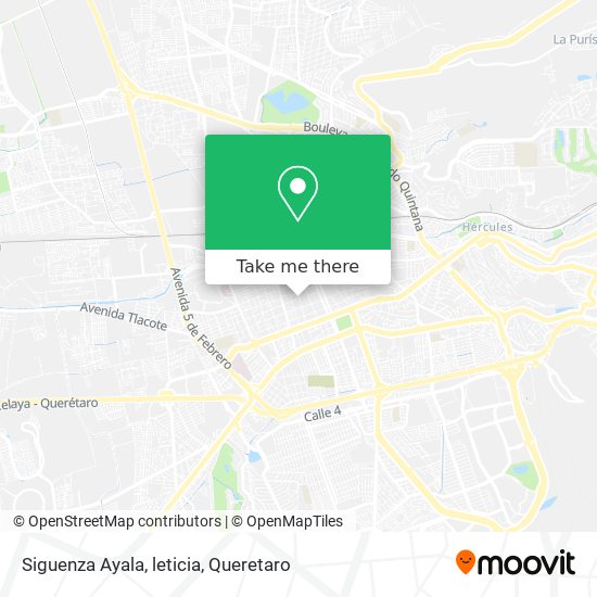 Mapa de Siguenza Ayala, leticia