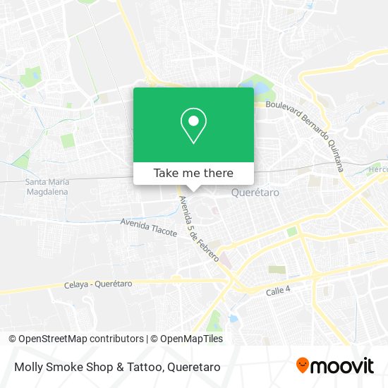 Mapa de Molly Smoke Shop & Tattoo