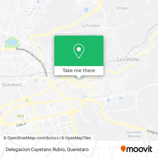 Delegacion Cayetano Rubio map