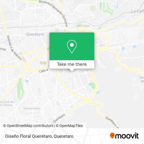 Mapa de Diseño Floral Querétaro