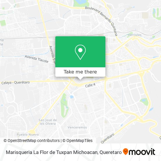 Marisqueria La Flor de Tuxpan Michoacan map