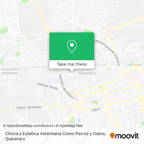Clinica y Estetica Veterinaria Como Perros y Gatos map