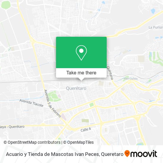 Acuario y Tienda de Mascotas Ivan Peces map