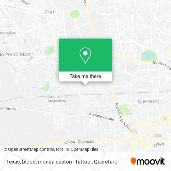 Texas, blood, money, custom Tattoo. map