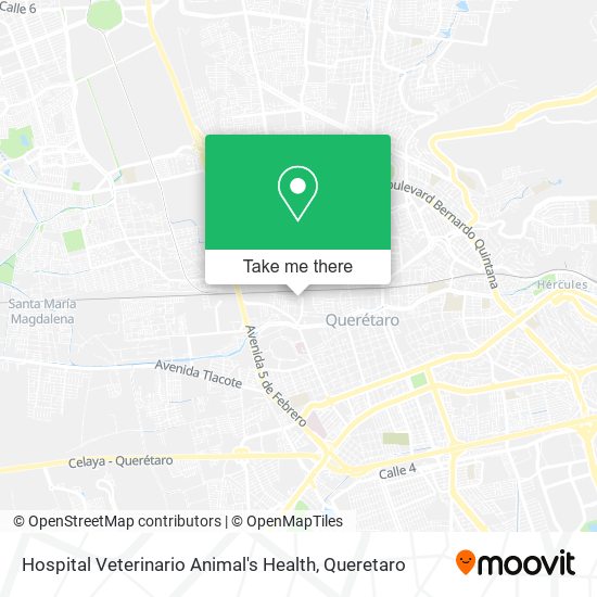 Hospital Veterinario Animal's Health map