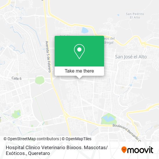 Mapa de Hospital Clínico Veterinario Bixoos. Mascotas/ Exóticos.