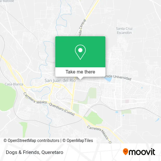 Dogs & Friends map