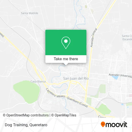 Dog Training map