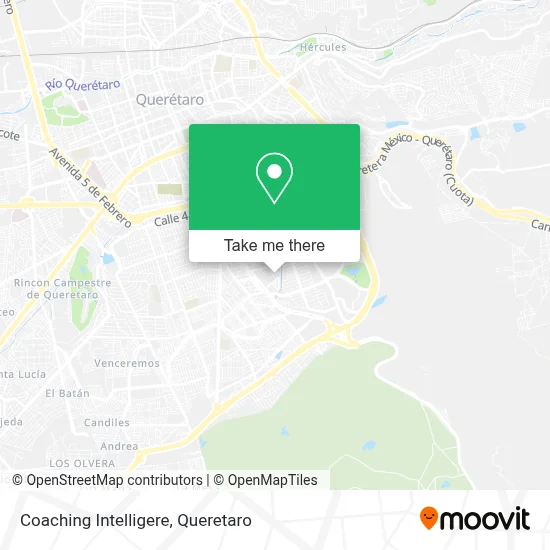 Coaching Intelligere map