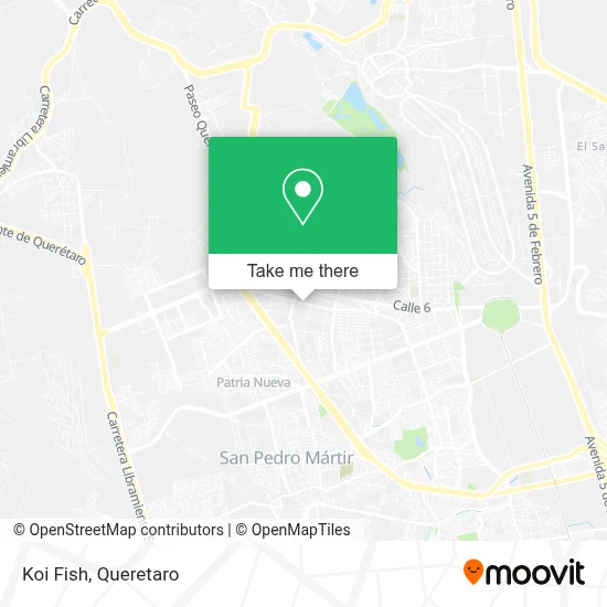 Koi Fish map