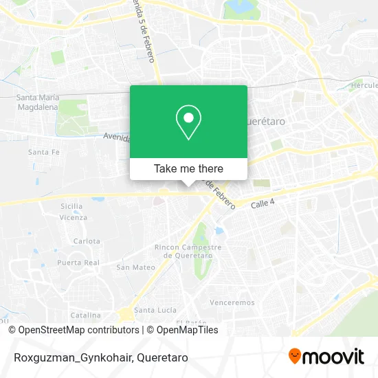 Roxguzman_Gynkohair map