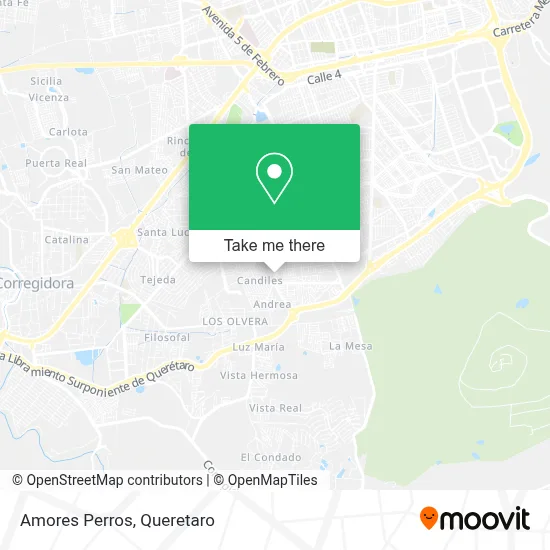 Amores Perros map