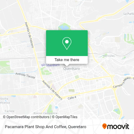 Pacamara Plant Shop And Coffee map