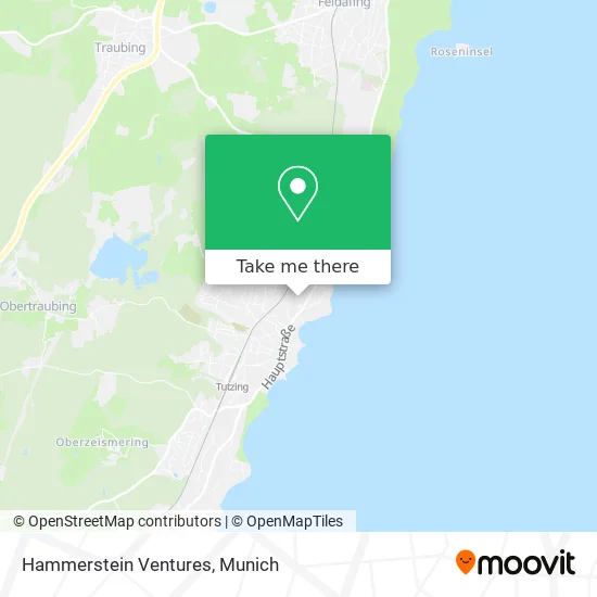 Карта Hammerstein Ventures