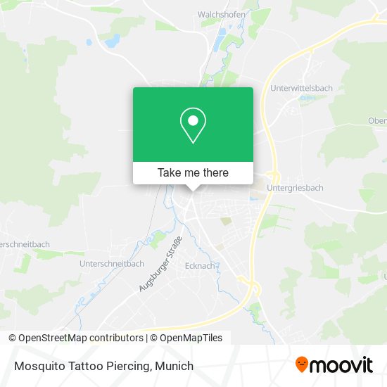 Mosquito Tattoo Piercing map