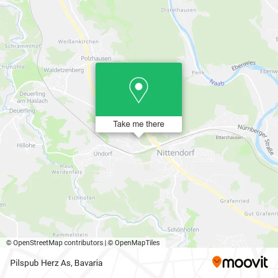 Карта Pilspub Herz As
