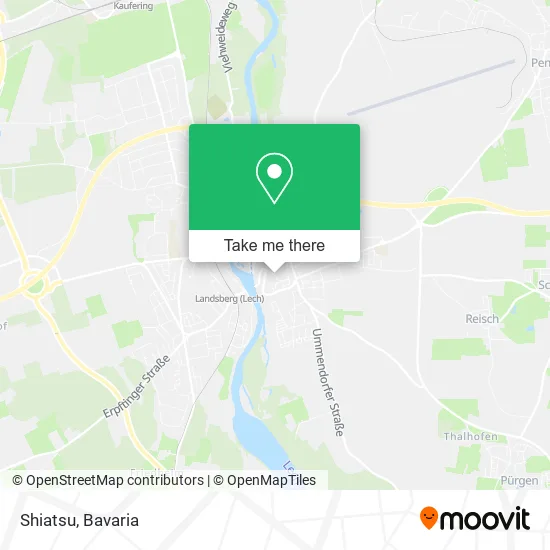 Карта Shiatsu