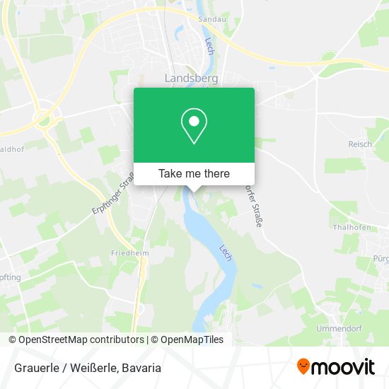 Grauerle / Weißerle map