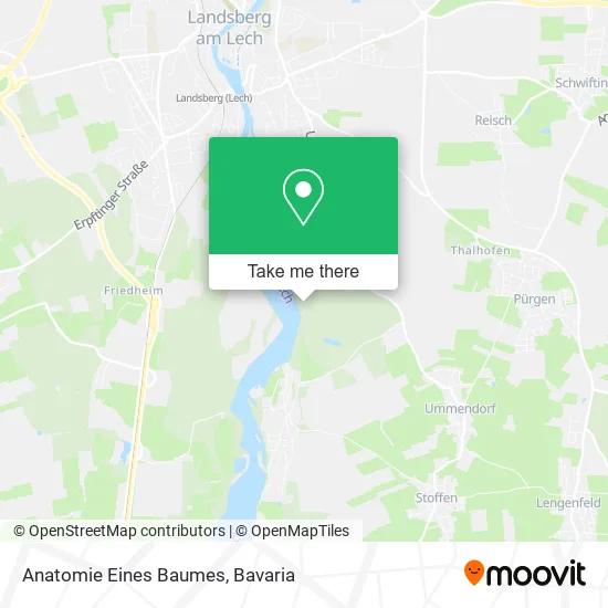 Карта Anatomie Eines Baumes