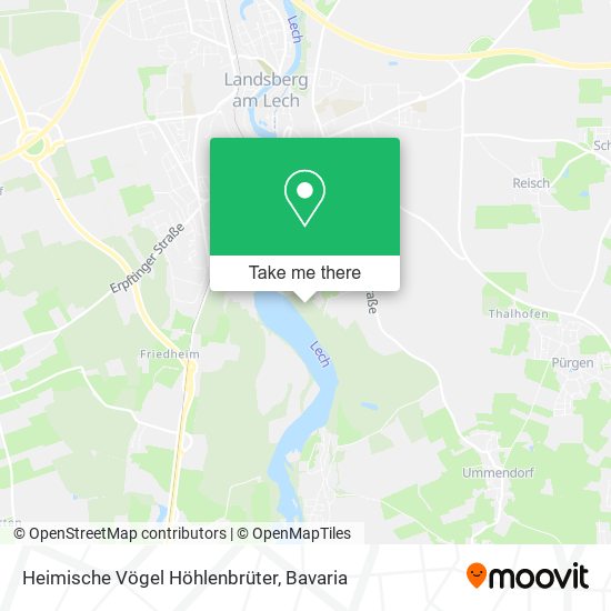 Heimische Vögel Höhlenbrüter map