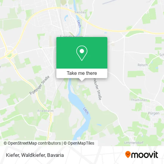 Карта Kiefer, Waldkiefer