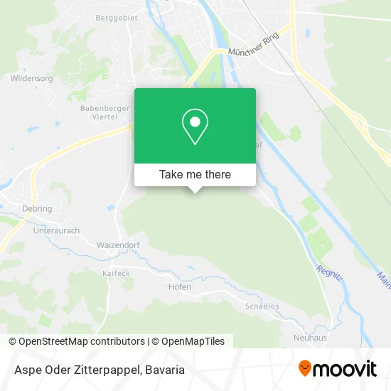 Карта Aspe Oder Zitterpappel