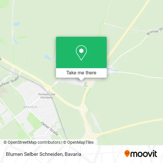Карта Blumen Selber Schneiden