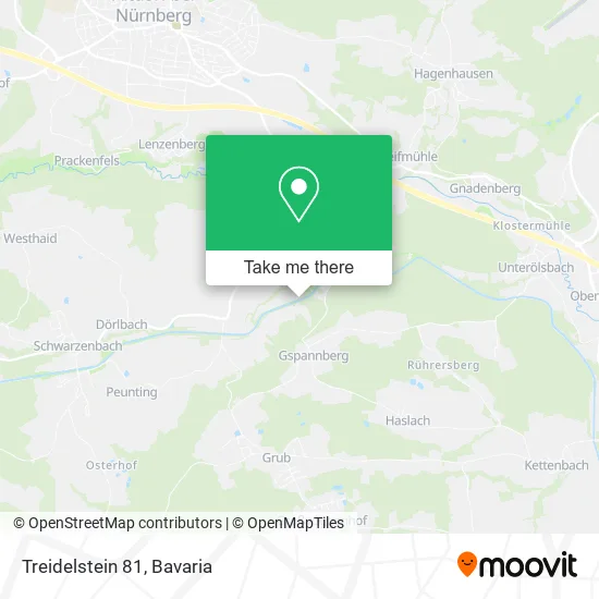 Карта Treidelstein 81
