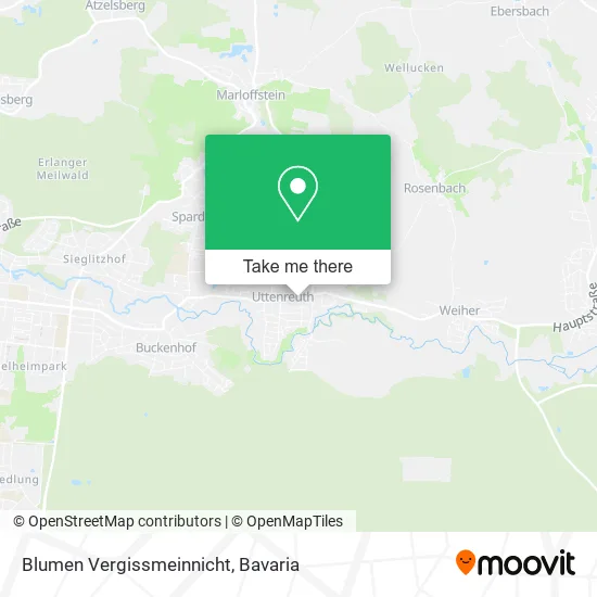 Карта Blumen Vergissmeinnicht