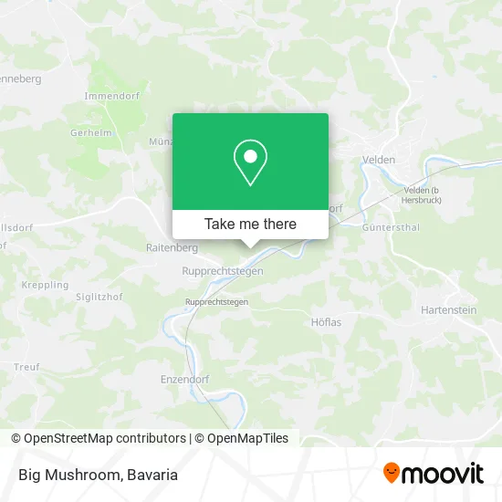 Карта Big Mushroom