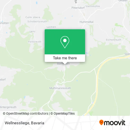 Карта Wellnessliege