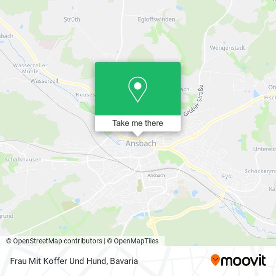 Frau Mit Koffer Und Hund map