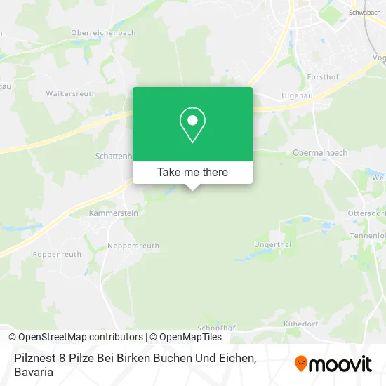 Карта Pilznest 8 Pilze Bei Birken Buchen Und Eichen