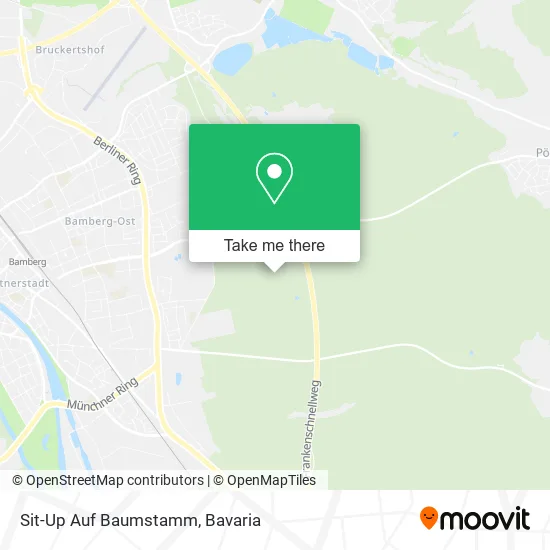 Карта Sit-Up Auf Baumstamm