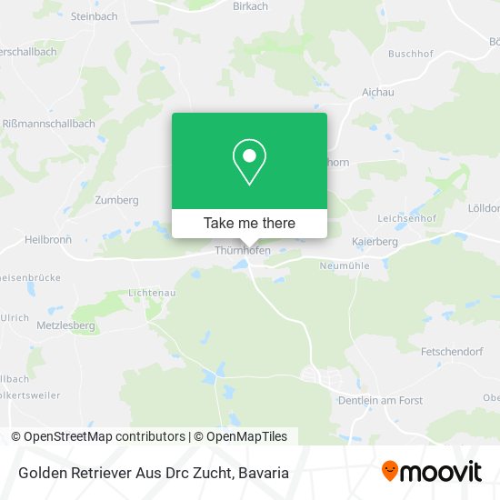 Golden Retriever Aus Drc Zucht map