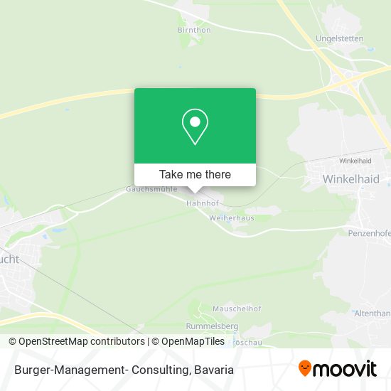 Карта Burger-Management- Consulting