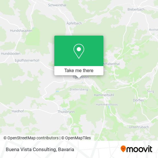 Buena Vista Consulting map