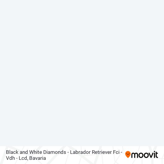 Карта Black and White Diamonds - Labrador Retriever Fci - Vdh - Lcd