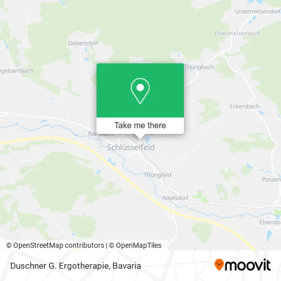 Карта Duschner G. Ergotherapie
