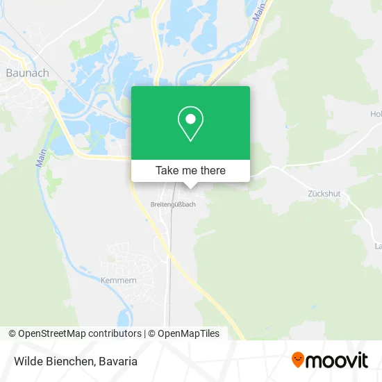 Карта Wilde Bienchen