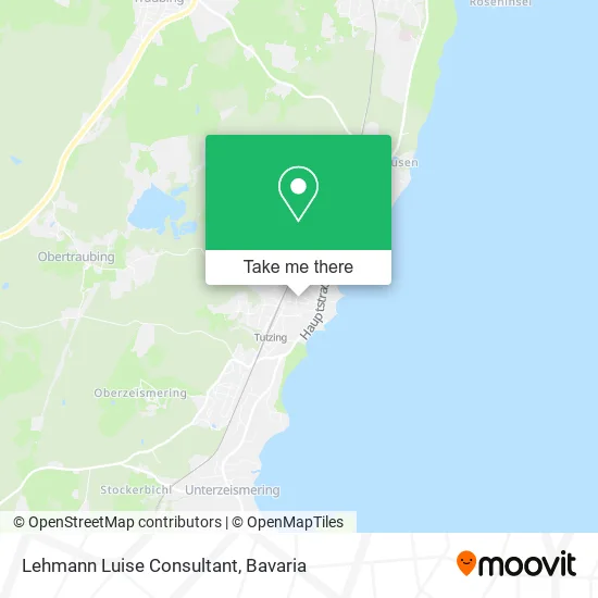 Карта Lehmann Luise Consultant