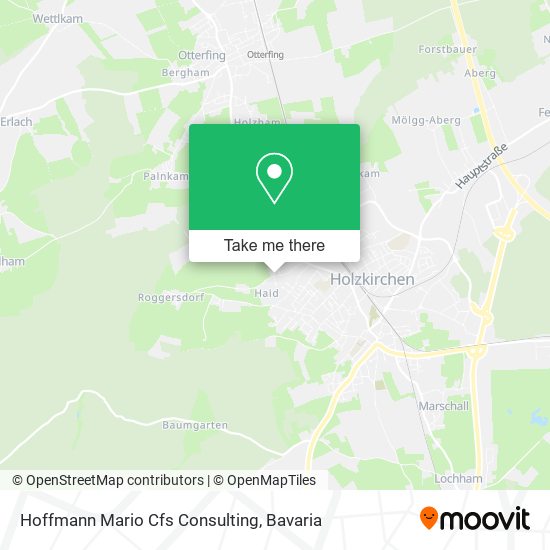 Hoffmann Mario Cfs Consulting map