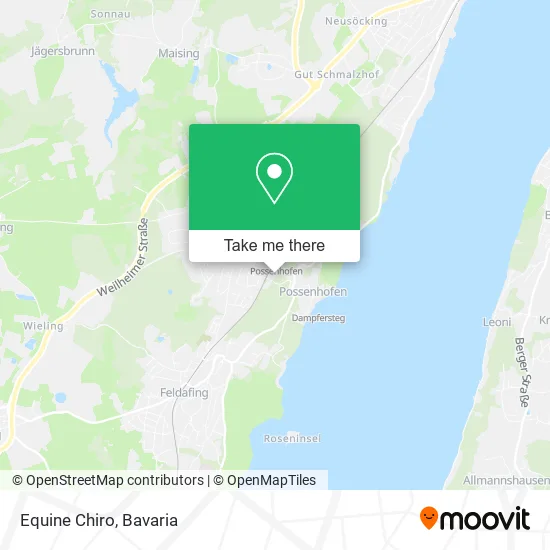 Карта Equine Chiro