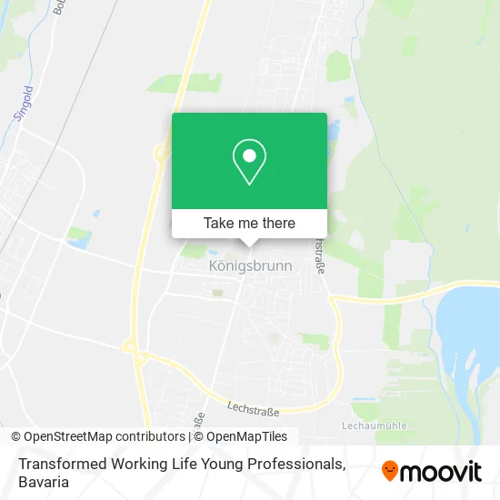 Карта Transformed Working Life Young Professionals