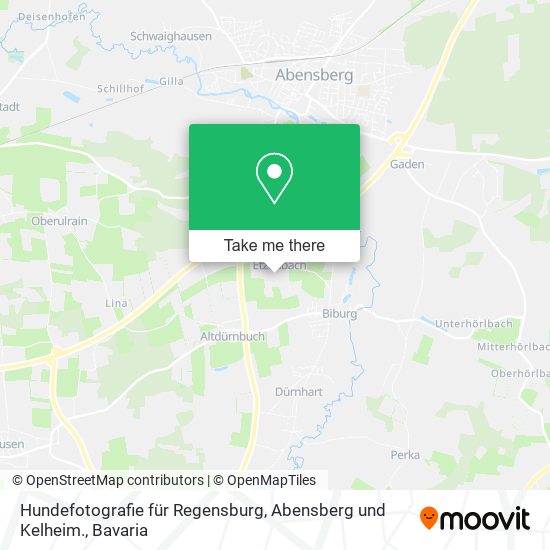 Hundefotografie für Regensburg, Abensberg und Kelheim. map