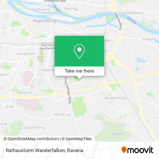 Rathausturm Wanderfalken map