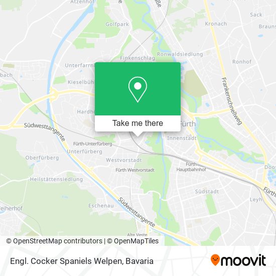 Engl. Cocker Spaniels Welpen map